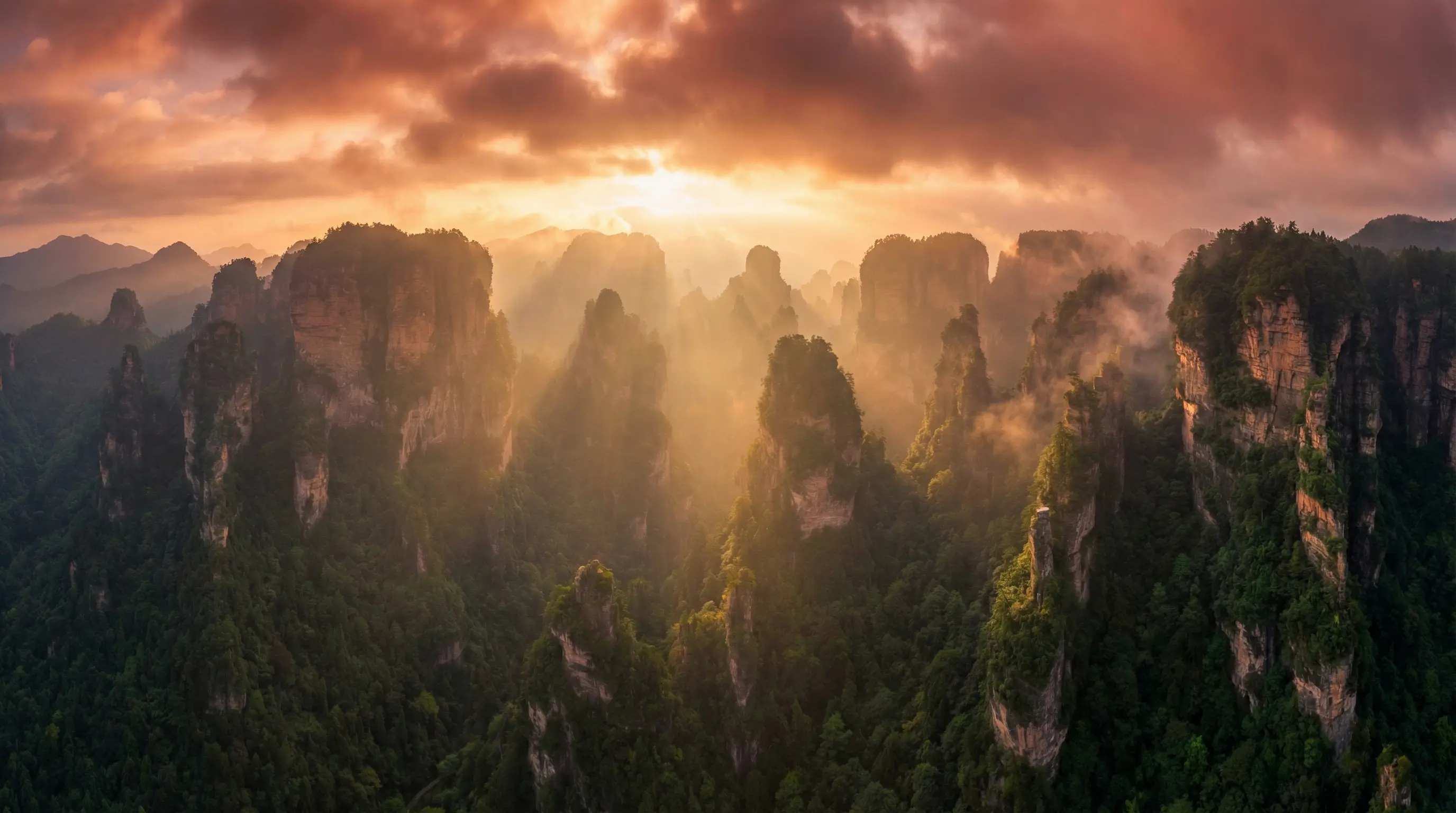 快乐到家发布会 自然风光视频封面